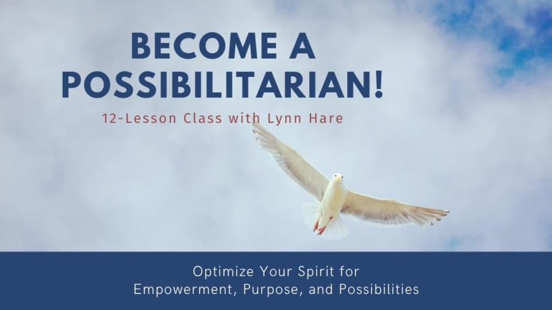 Seagull-soaring-with-text-Become-A-Possibilitarian 