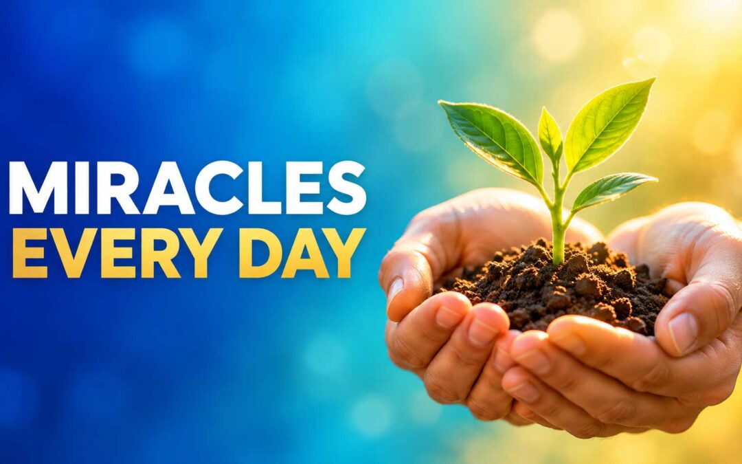 Miracles every day