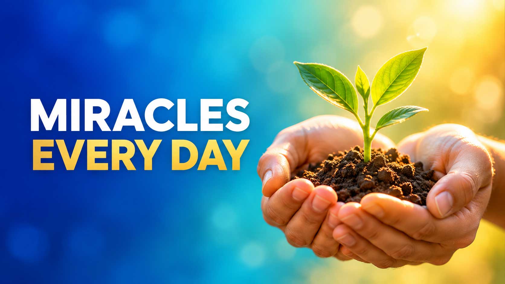 Miracles Every Day